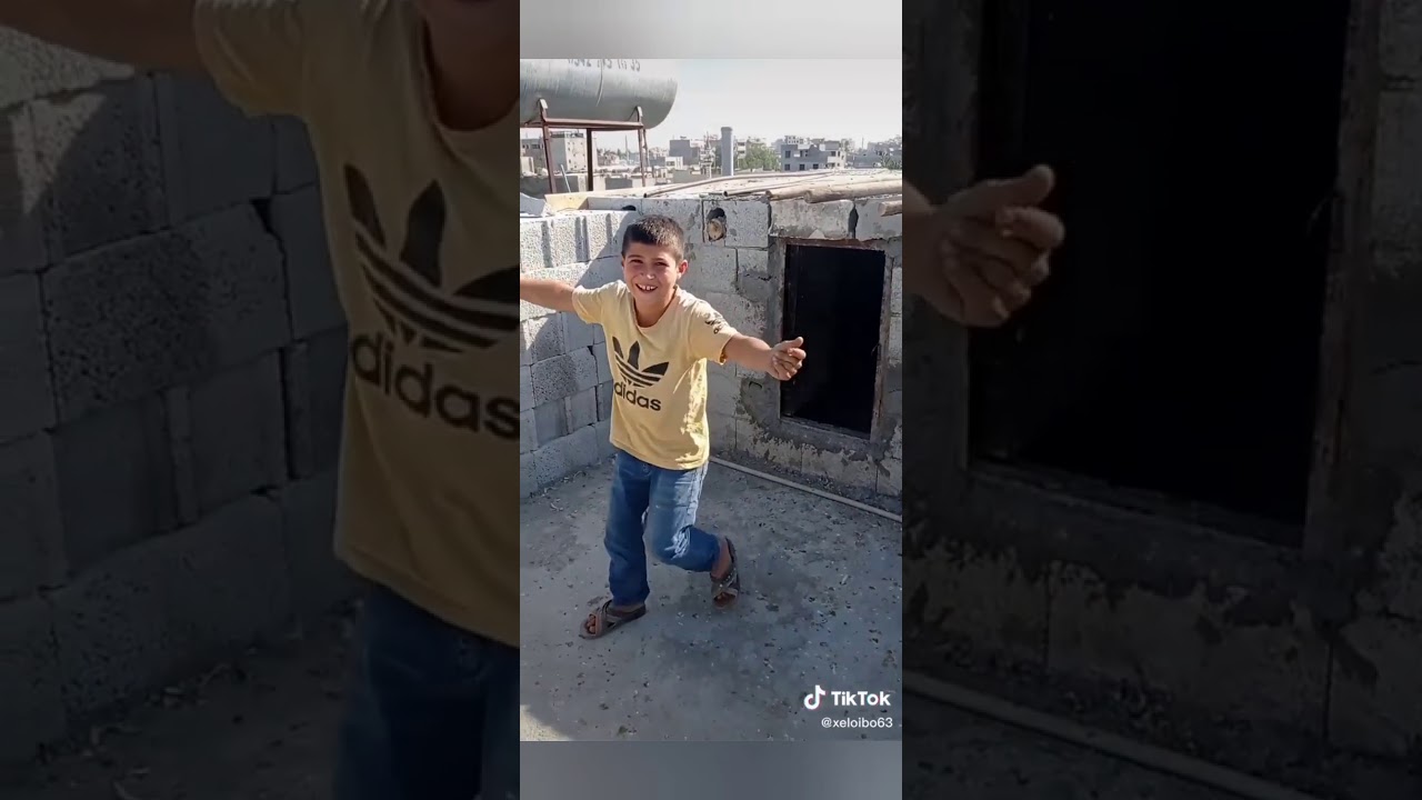 Tik tok posta ve filo güvercin videoları #4