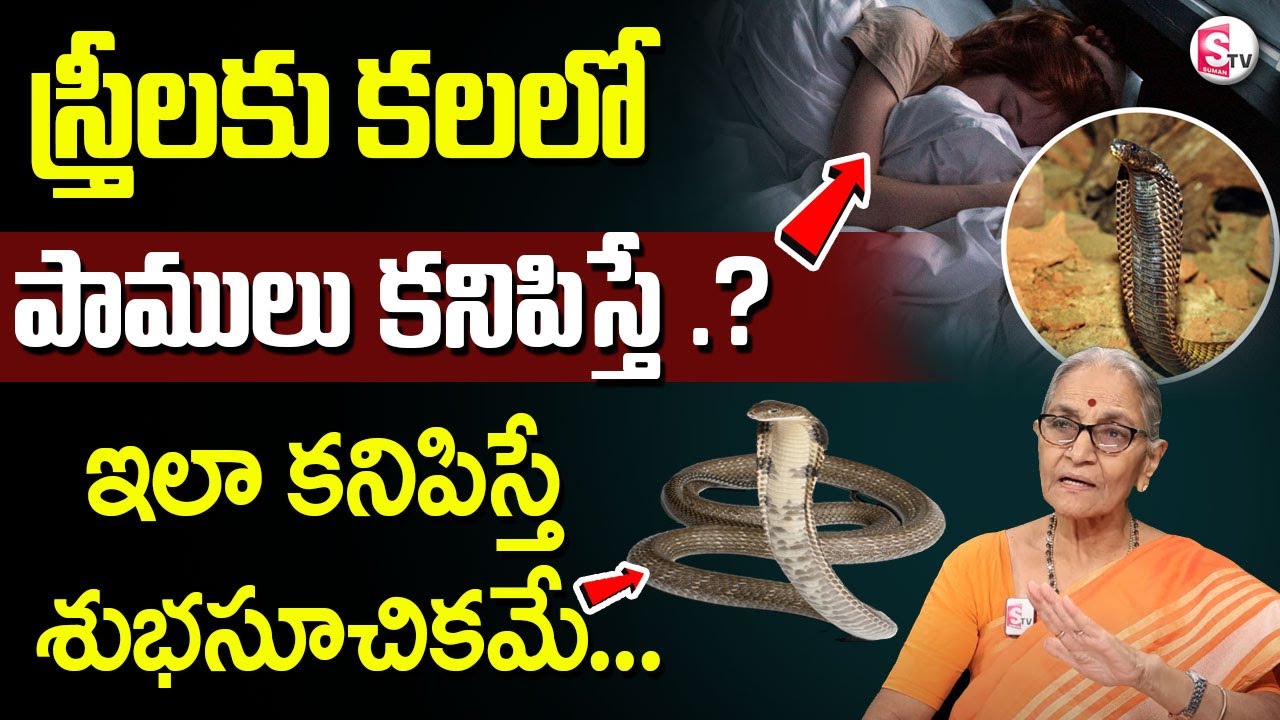 What Does it Mean When You Dream About Snakes..? | Anantha Lakshmi About Snakes in Dreams | SumanTV