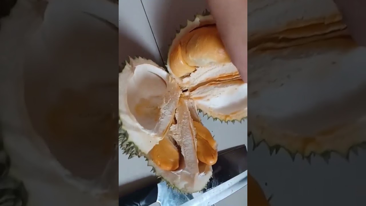 我愿意用5天的工资吃掉这个红肉榴莲