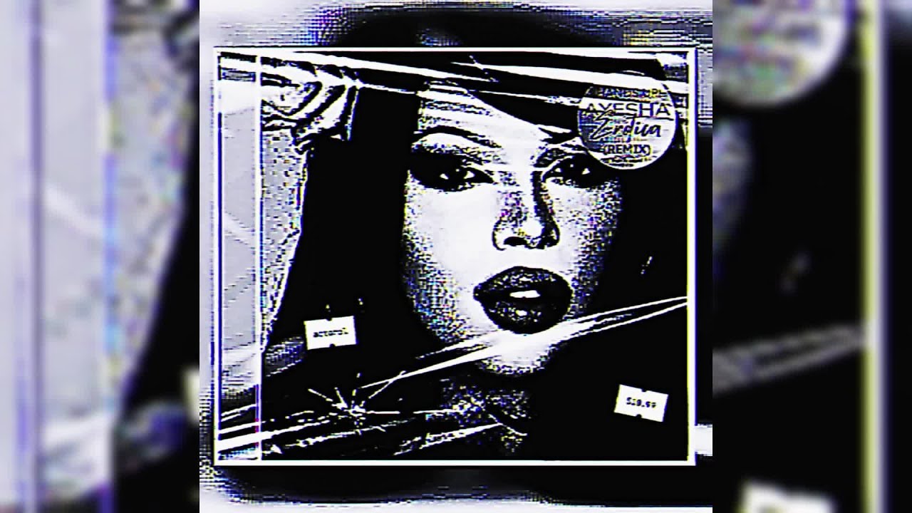 ayesha erotica - hands up! (remix - extended - slowed & reverb)
