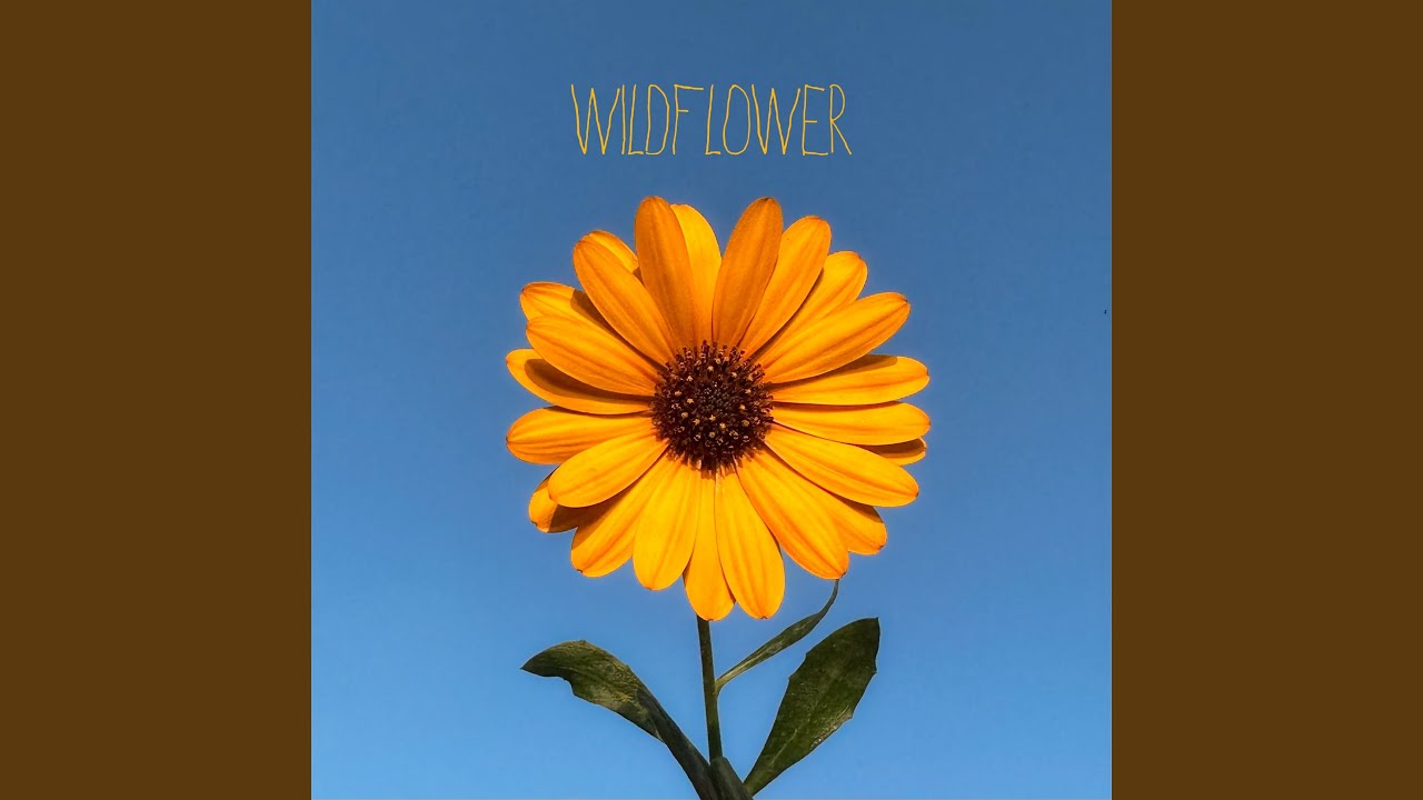 Wildflower