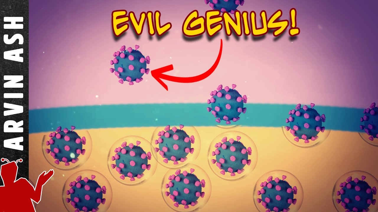 How does Covid work? Why is Covid so deadly?