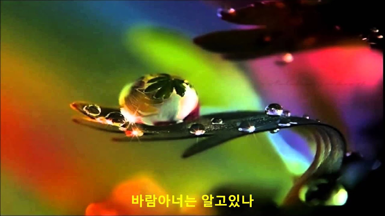 양희은 - 아름다운 것들