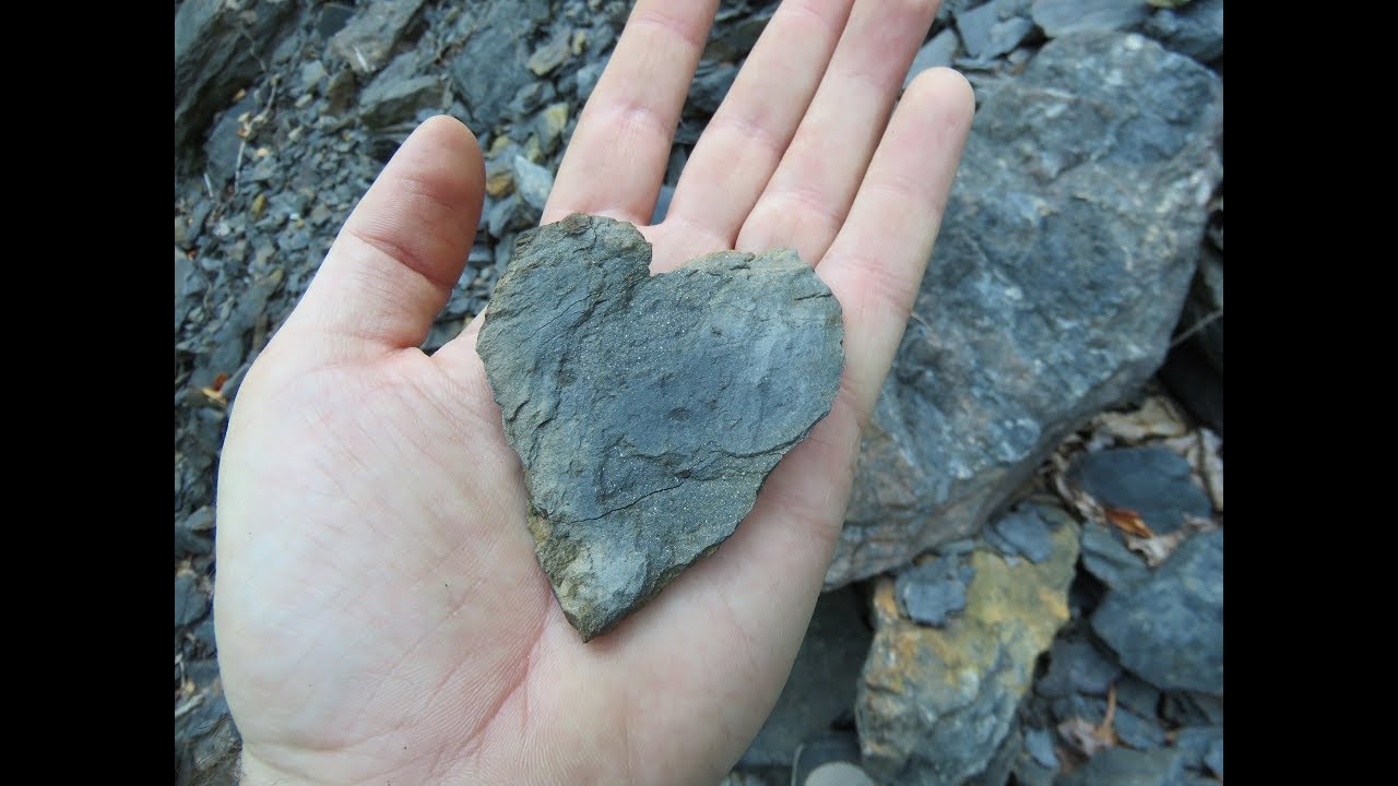 Fossil Hunting in Nesquehoning PA