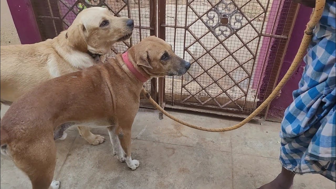தயவு செய்து இப்படி எல்லாம் பண்ணாதீங்க😭