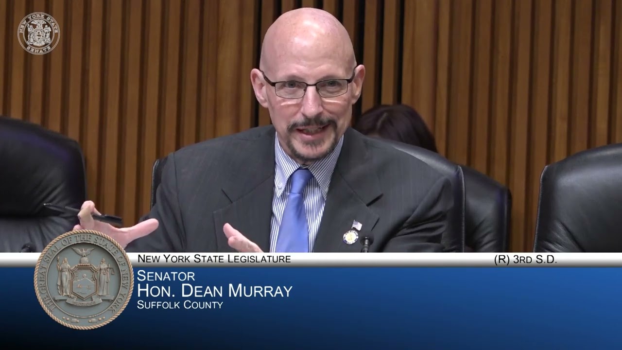 NYS Senator Dean Murray Speaks At A Higher Education Hearing With Elizabeth Altman