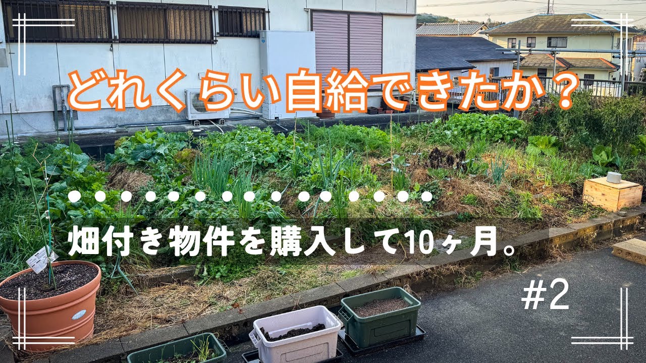自給生活10ヶ月の振り返り ＃2