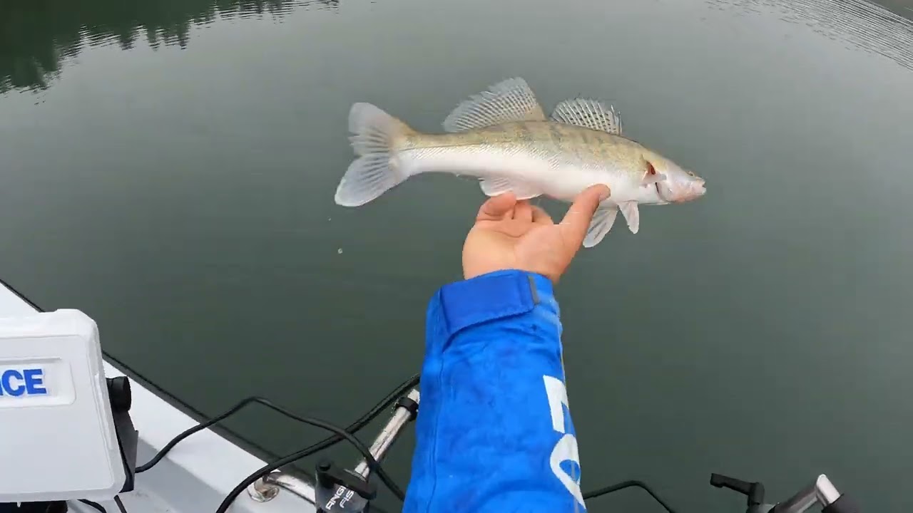 Lowrance Eagle Eye 9 Live