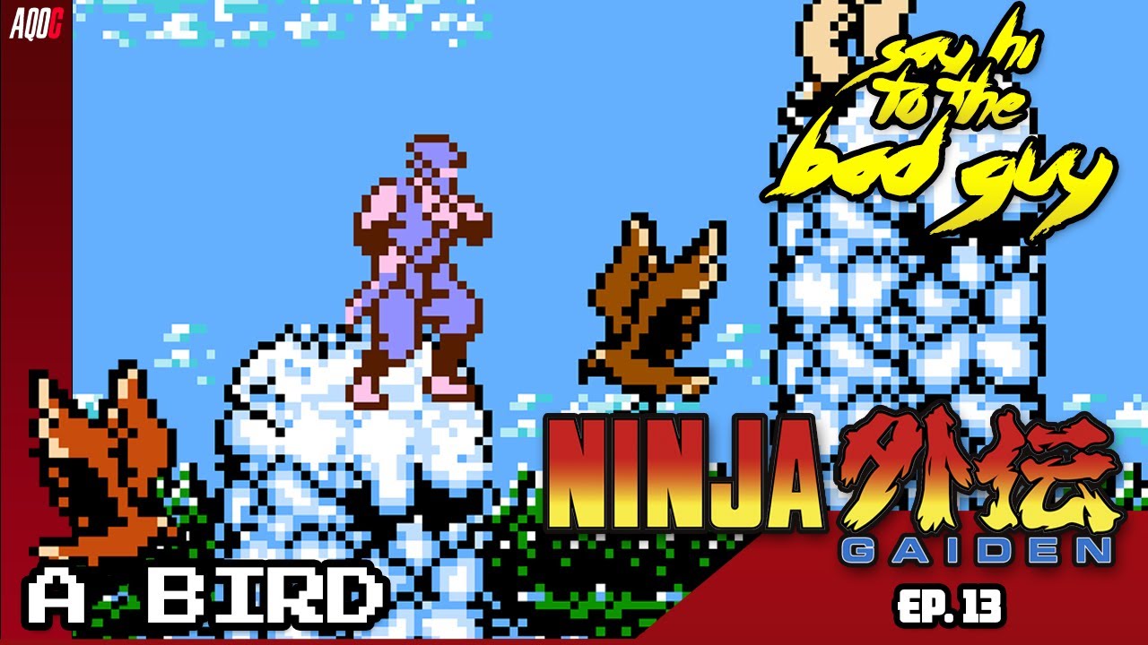 SAY HI TO THE BAD GUY - A BIRD (NINJA GAIDEN 1)