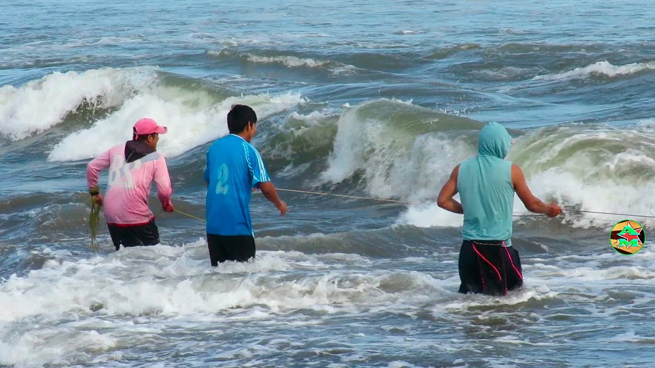 As&iacute; se Pesca a los PECES CON ATARRAYA en Mar, cast fishing
