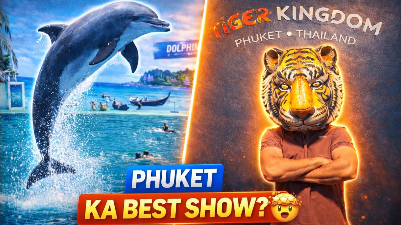 Phuket Day 3 🇹🇭 | Dolphin Show & Tiger Kingdom Full Experience