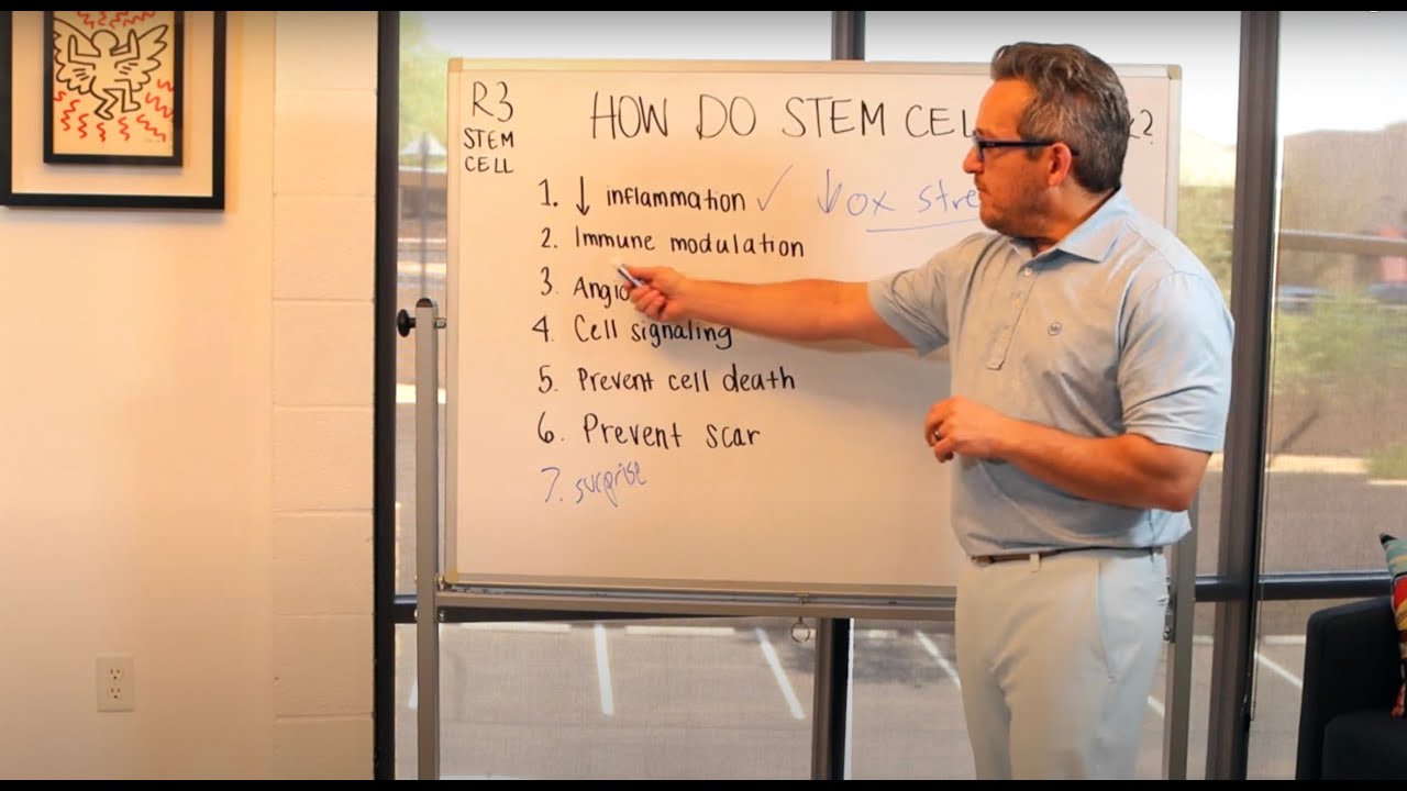 How do Umbilical Cord Stem Cells Work in the Body? (844) GET-STEM