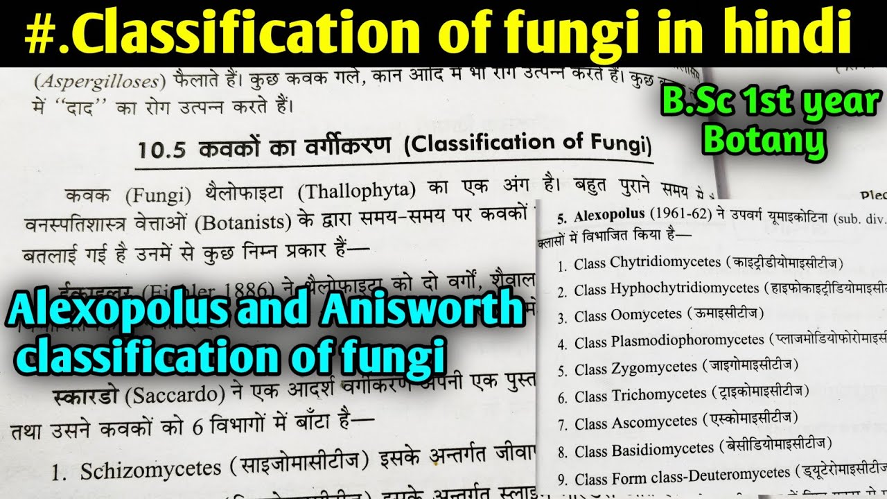 Classification of fungi in hindi || Anisworth classification of fungi || Alexopolus classification