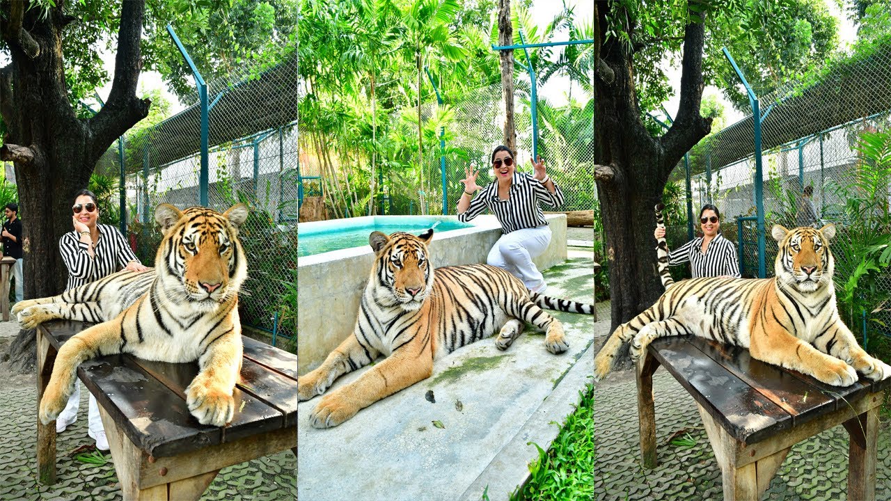 Playing With Real Tiger In Thailand || Pattaya Floating Market || Tiger Park || Thailand Vlog
