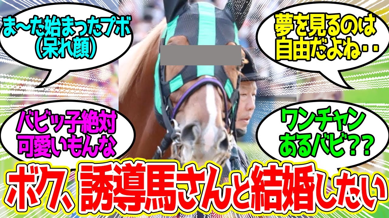 バビットってほんと誰にでも恋するな・・に対するみんなの反応！【競馬 の反応集】