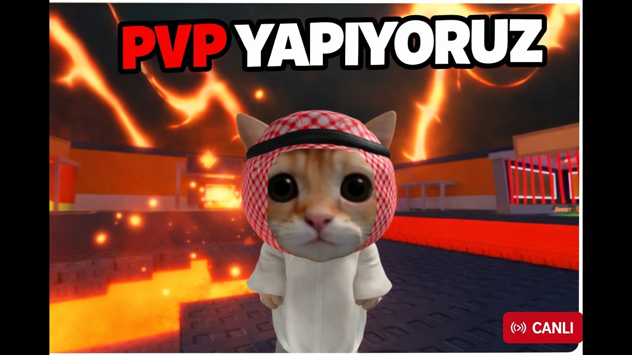 . sadece los burritos arıyorum.