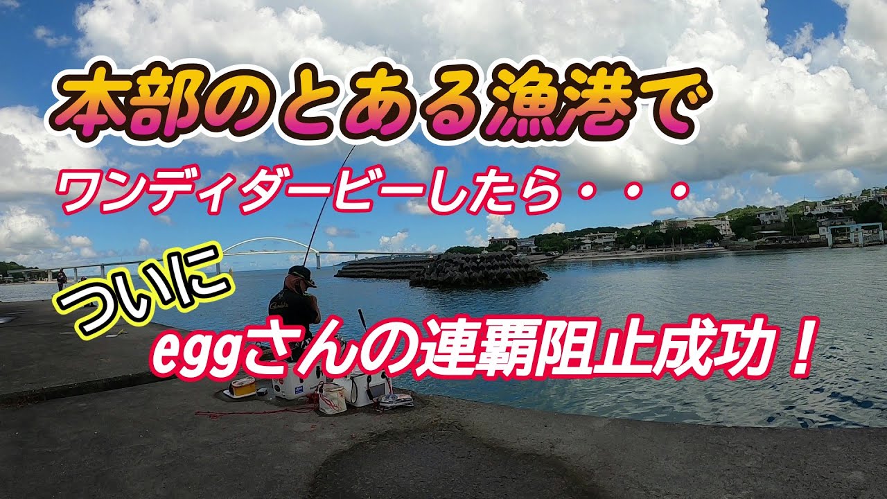 北部の漁港でワンディダービー！最強エサ取り軍団との攻防【沖縄釣り】