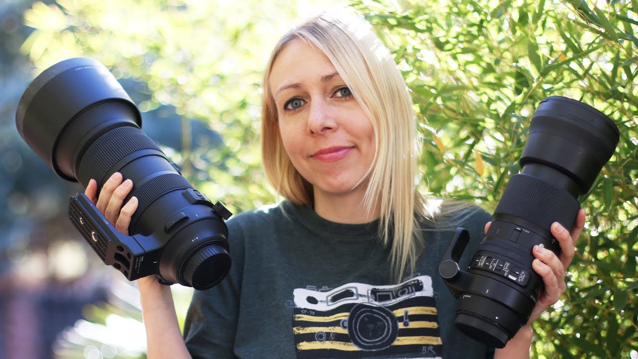 Спортивный объектив Sigma 60-600 мм против современного объектива Sigma 150-600 мм для съёмки дик...