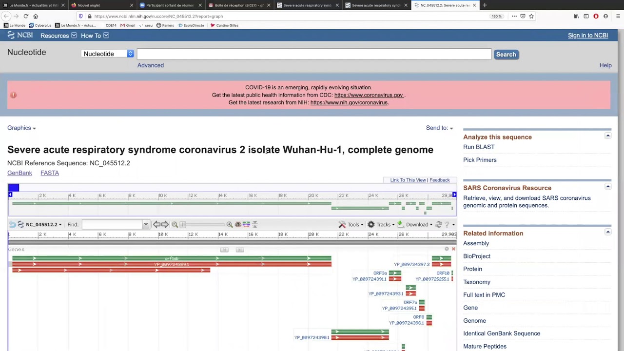 recherche NCBI Genbank