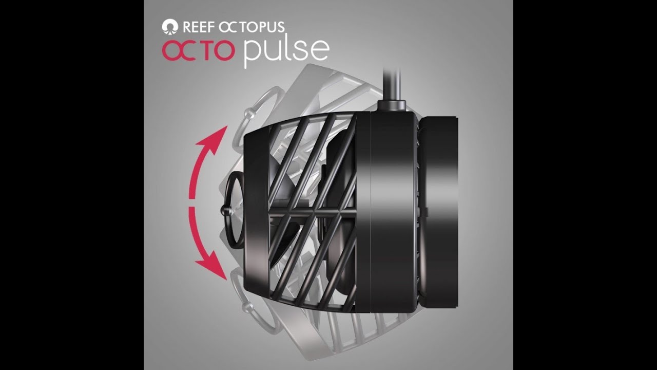 Octo Pulse 4 - Ich Teste die Pumpe