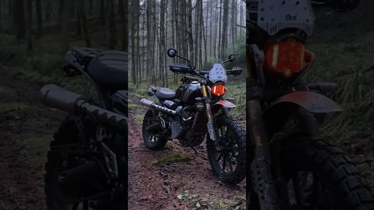 400X SCRAMBLER - FOREST TRIP  #triumphscrambler #400x #scrambler400x #triumphmotorcycles
