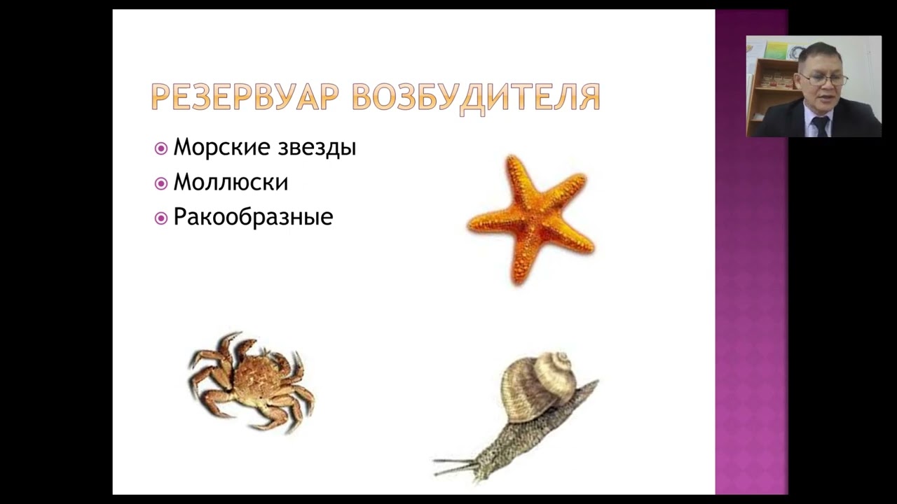 Паразитология и инвазионные болезни 1. Лекция 4. Трихинеллез