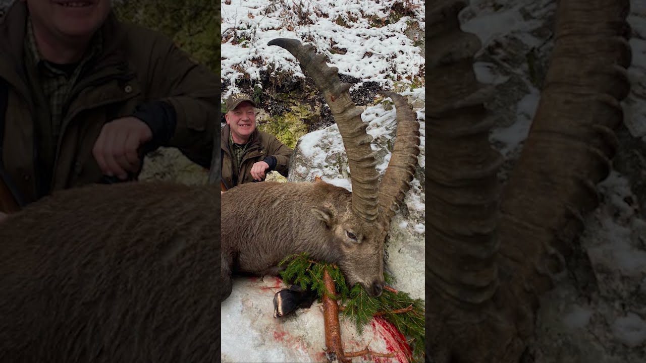 The Hunt for Alpine Ibex in Slovenia 2023