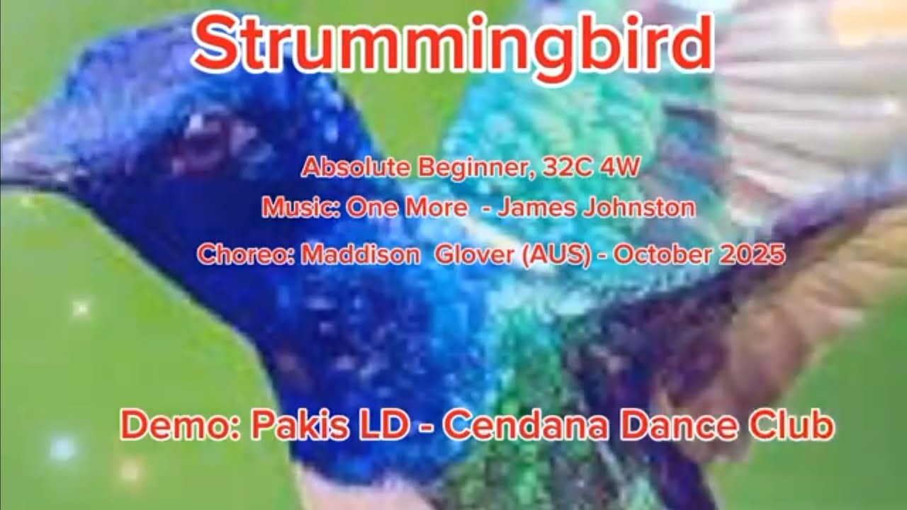 Strummingbird - Line Dance//Demo//Choreo: Maddison Glover (AUS) - October 2025