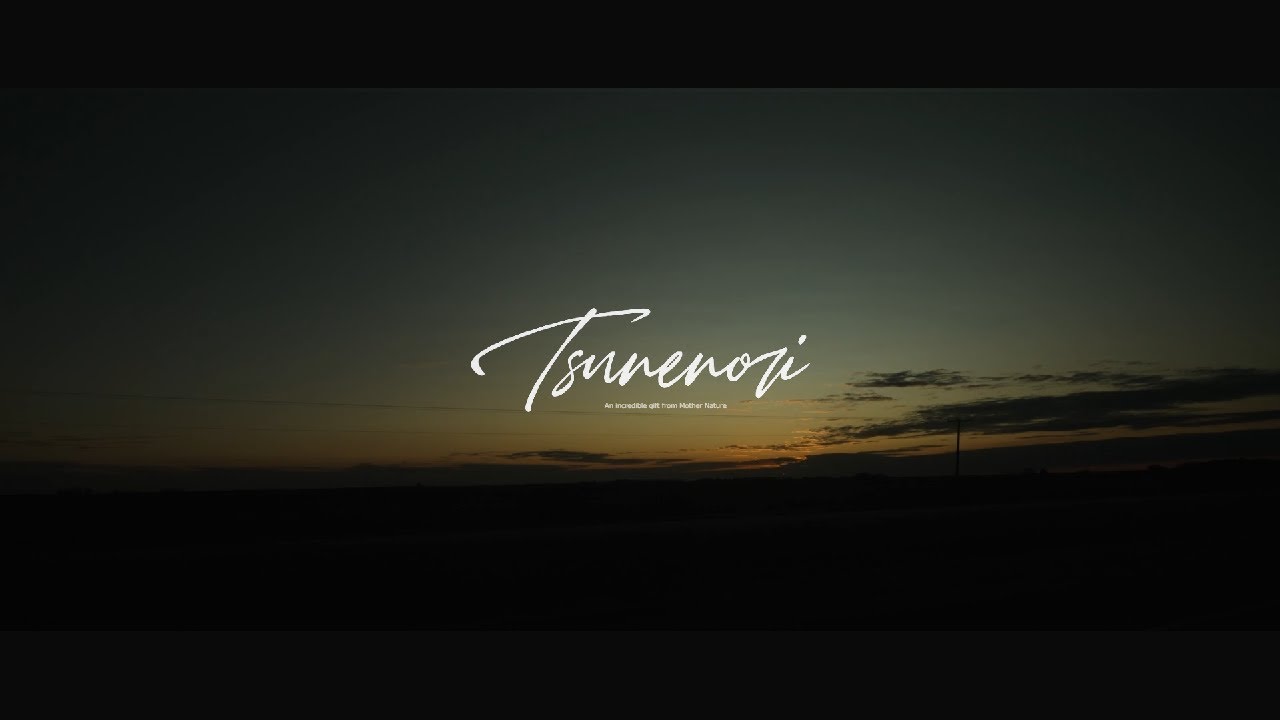 Tsunenori - In Motion