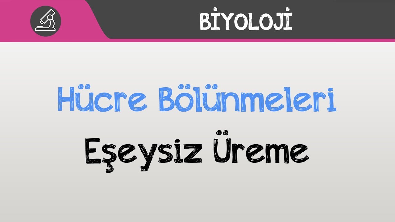Hücre Bölünmeleri - Eşeysiz Üreme
