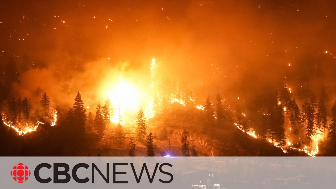 B.C. declares provincial state of emergency amid wildfires