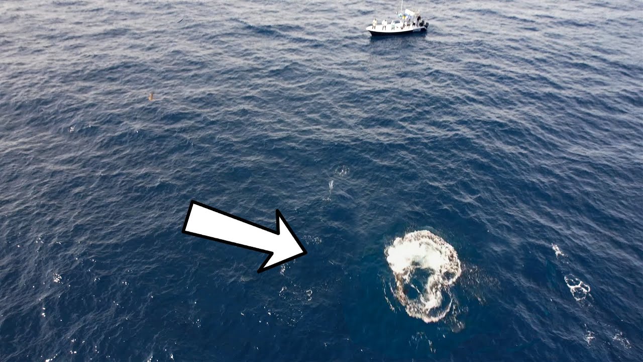 ATAQUE EXPLOSIVO de ATUN GIGANTE visto desde un DRONE - Pesca de tunas con señuelos superficiales