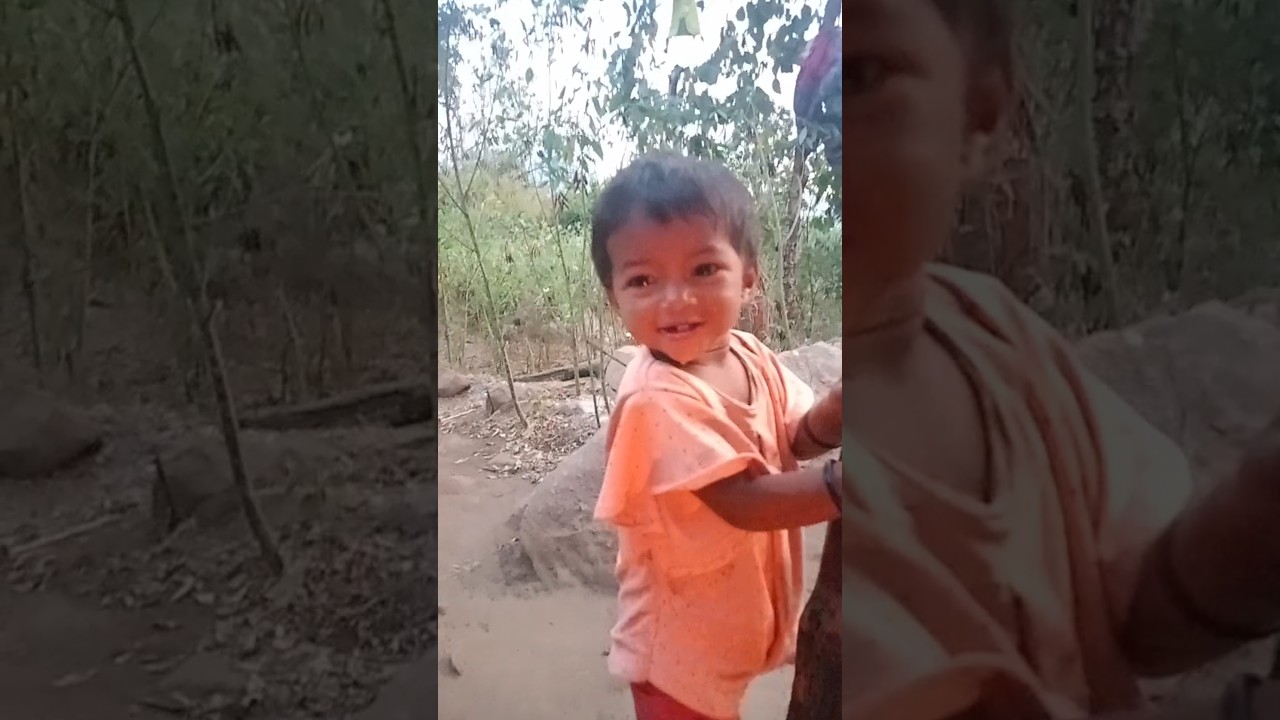 Kutma kutu