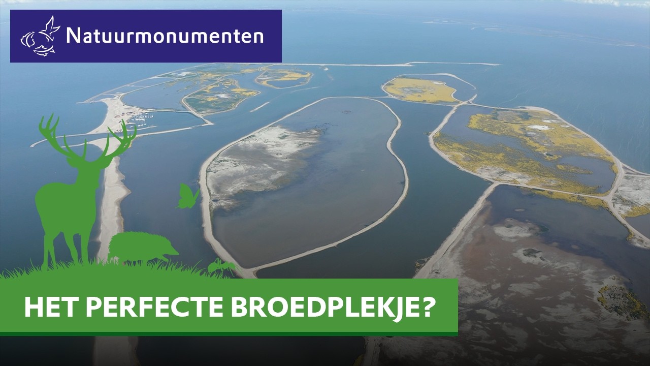 Successen uit de natuur - Marker Wadden