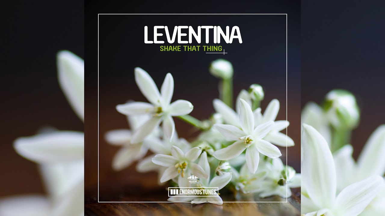 Leventina - Shake That Thing