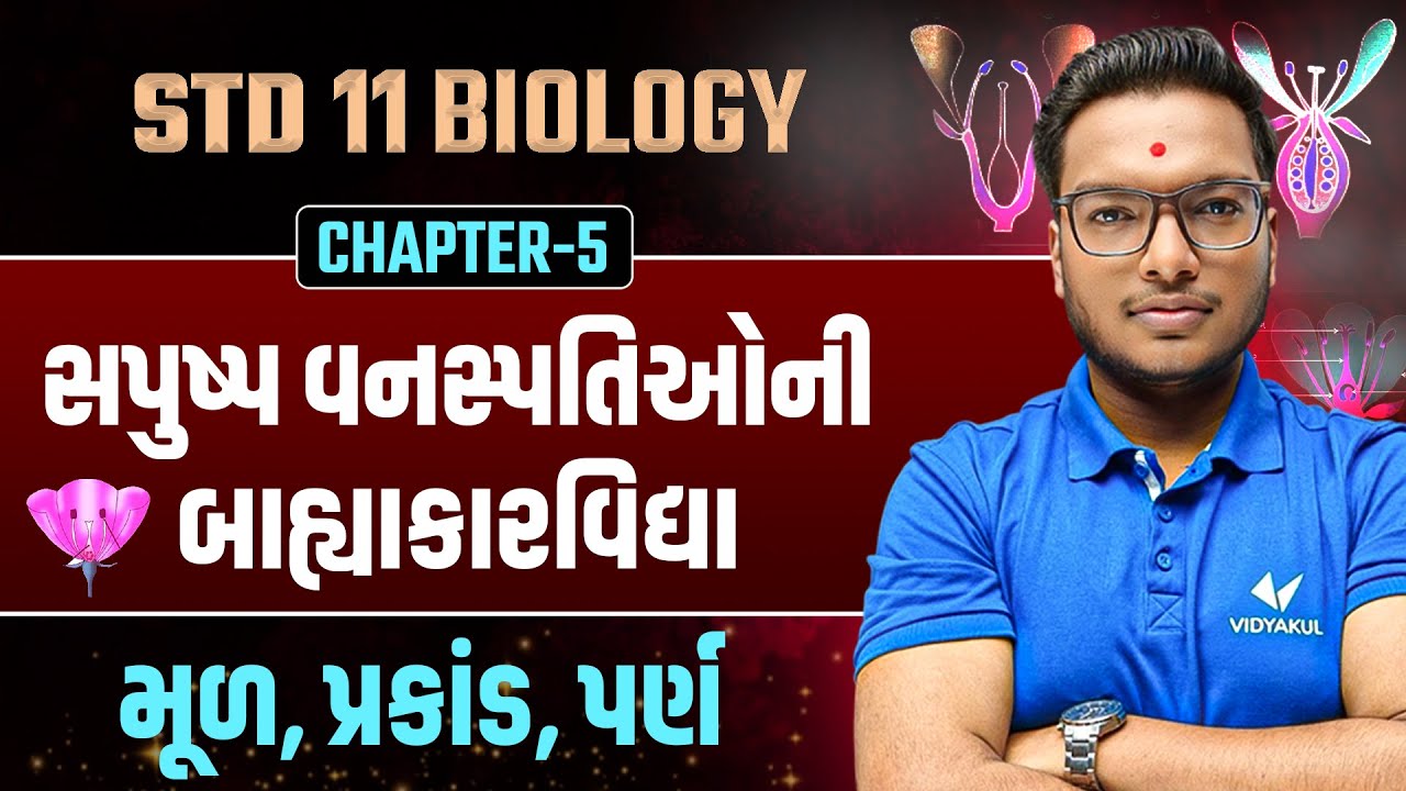 Std 11 Biology Ch 5  સપુષ્પ વનસ્પતિઓની બાહ્યાકારવિદ્યા🌱 | મૂળ, પ્રકાંડ & પર્ણ | Easy Explanation
