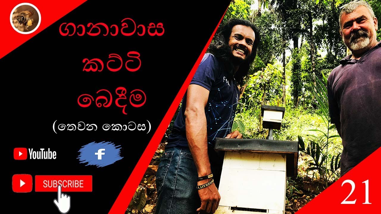 ගානාවාස කට්ටි බෙදීම (තෙවන කොටස)