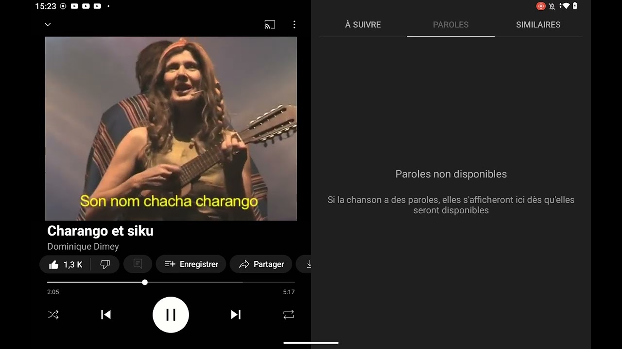 charango et Siku Dominique dimey