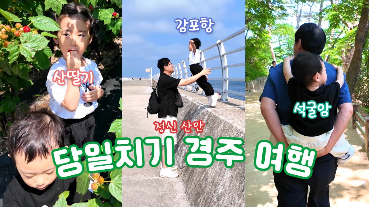 당일치기 경주 여행 | 매년 6월에는 꼭 가는 토함산 산딸기🍓 |  석굴암과 경주바다도 보고옴! #경주여행 #경북여행