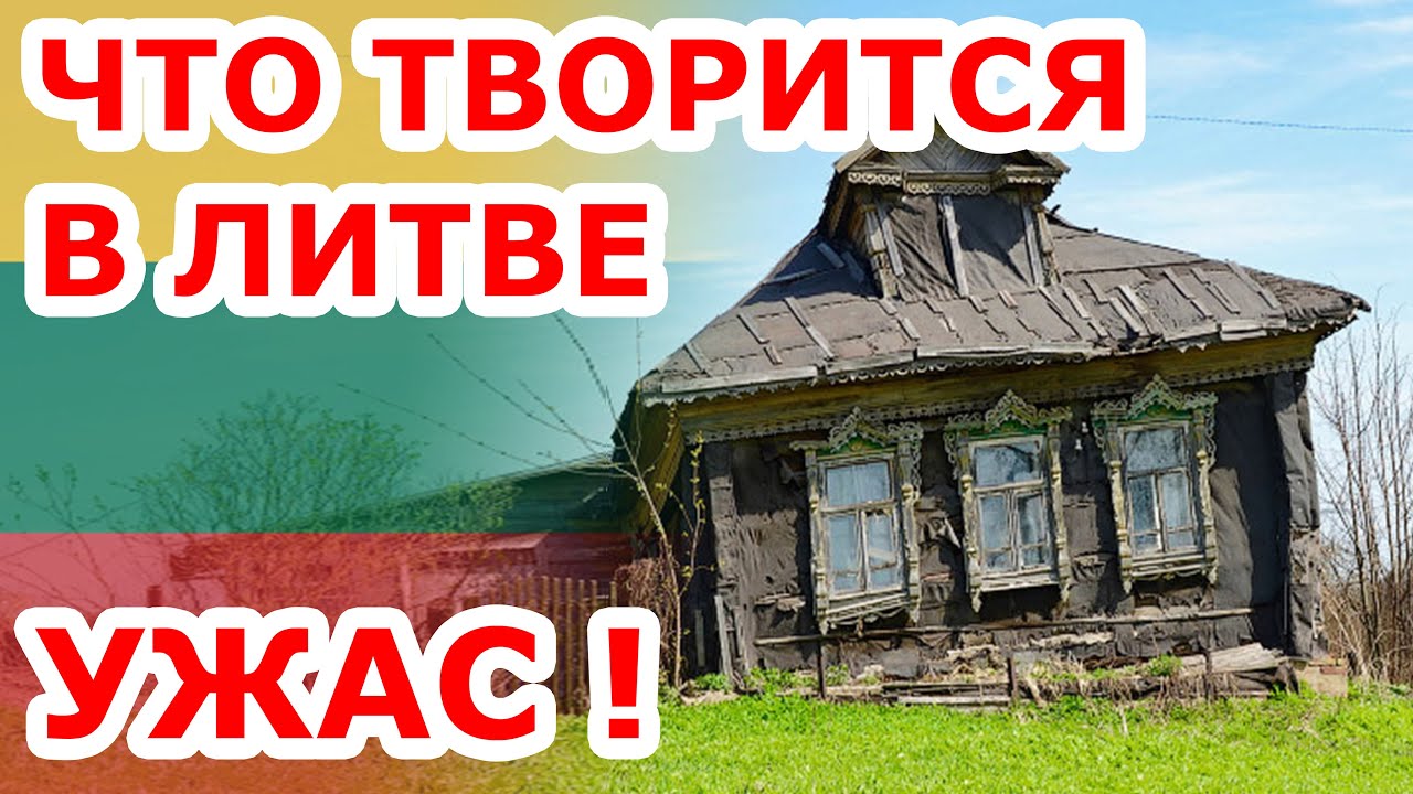 Ужас 😱 что творится в Литве