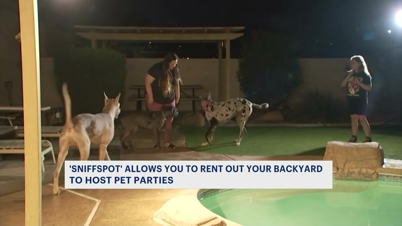 Dogonne it! Rent out your backyard for dogs to play