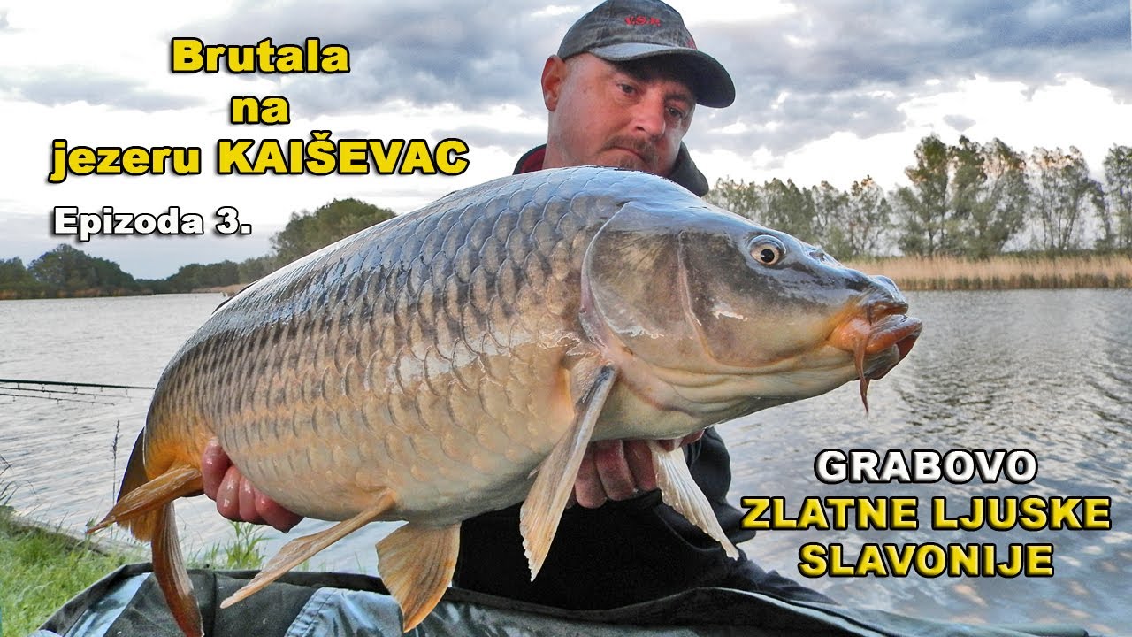 Brutala na jezeru Kaiševac - Grabovo, ZLATNE LJUSKE SLAVONIJE, Ep. 3/4 / VSP Studio Igor Pavičić