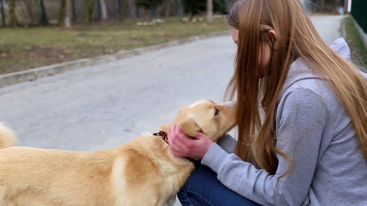 KTOZreportazSchronisko