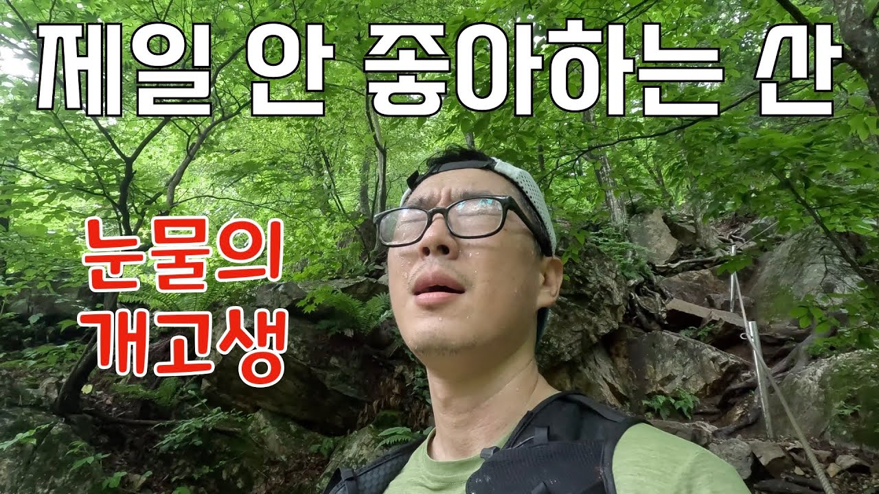 용문산이라고 쓰고 욕문산이라고 읽는 이유