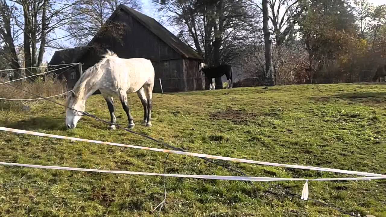 20141109 104054