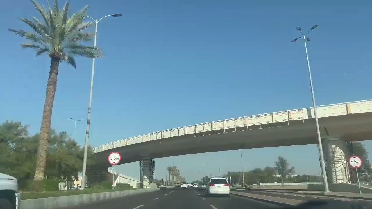 Just a Random Drive 🚗🌴