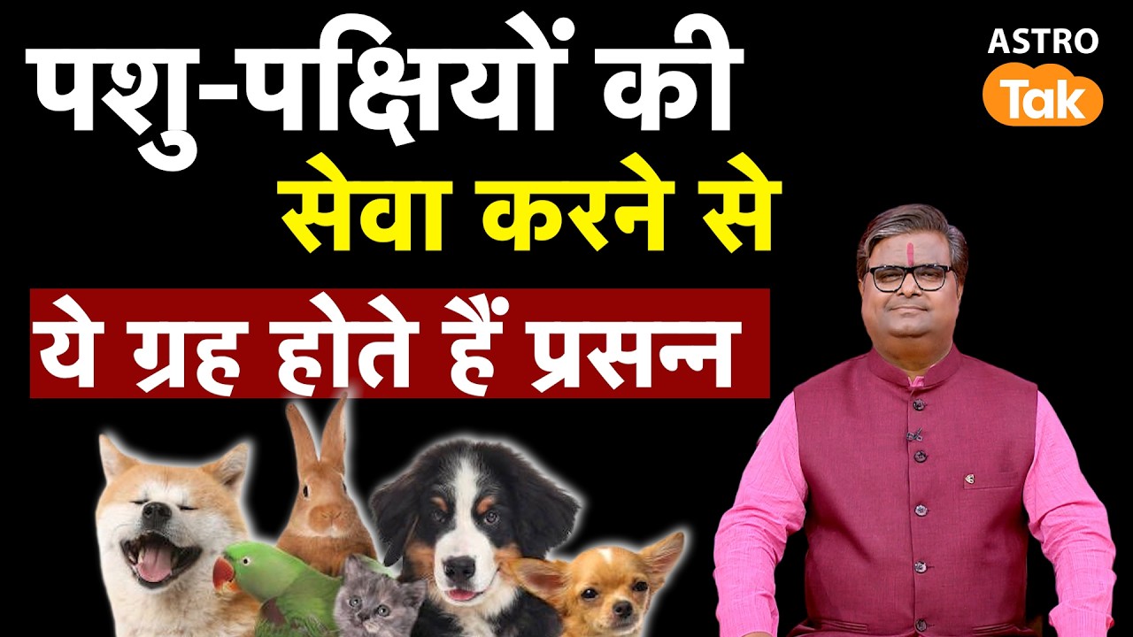 Service to Animals and Birds: पशु-पक्षियों की सेवा करने से ये ग्रह होते हैं प्रसन्न | SJ | Astro Tak