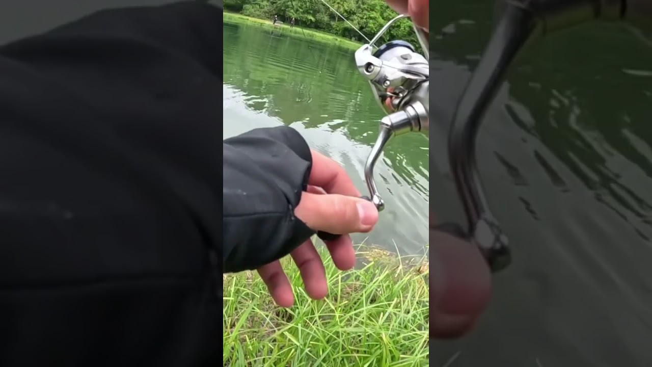 Put and take medestedet! #fishing #viralvideo #putandtake #trout