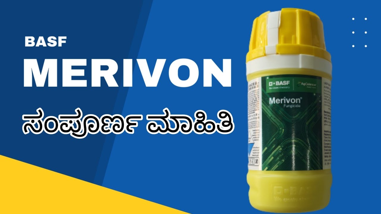BASF Merivon Fungicide | complete information| ಮೆರಿವಾನ್ ಯಾವ ರೋಗಕ್ಕೆ,ಬೆಳೆ ಮತ್ತು ಎಷ್ಟರ ಪ್ರಮಾಣ |