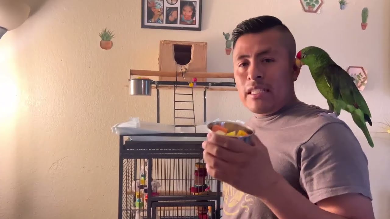 Cómo agregar las frutas para tus loros 🦜 🦜 @CuidadoyAlimentacionDeAves